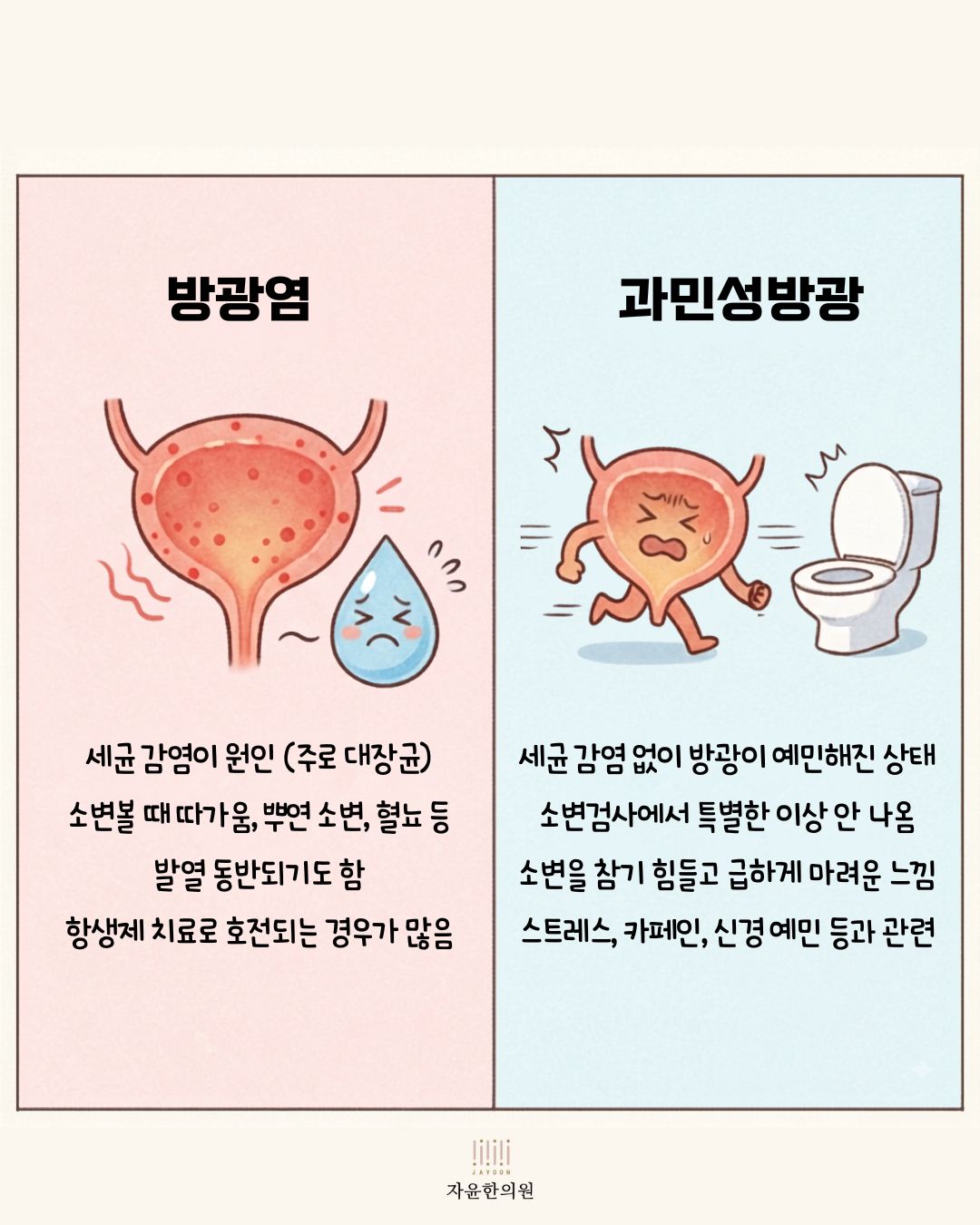 자윤한의원 원장 방광염 과민성방광 진료 상담