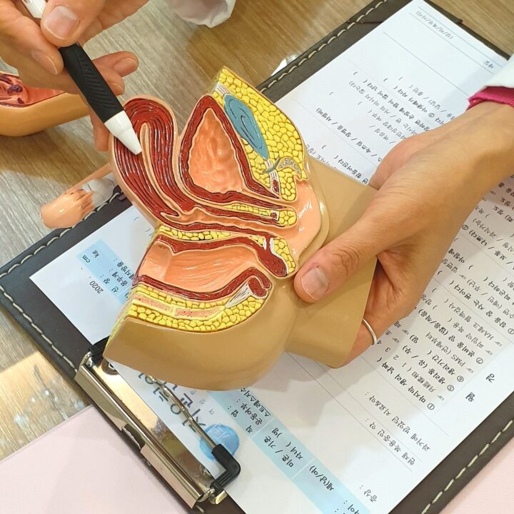 자윤한의원 노원점 한의사가 자궁 모형으로 생리불순 원인과 변증을 설명하는 상담 장면