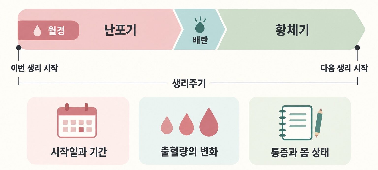 난소기능저하 관리를 위한 생리주기 기록 항목과 난포기·배란·황체기 흐름을 정리한 인포그래픽