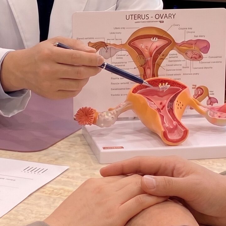 서초 임신 잘 되는 한약, 자궁환경→난소→착상 3단계로