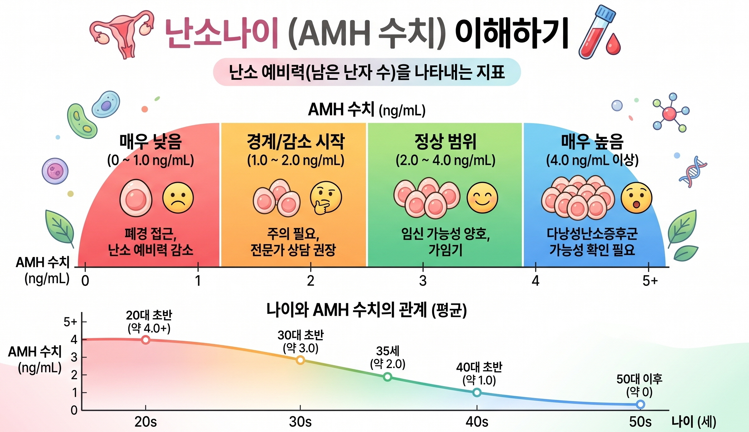 분당 고령임신 – 난소나이(AMH) 수치 구간과 나이별 평균 변화를 정리한 도표